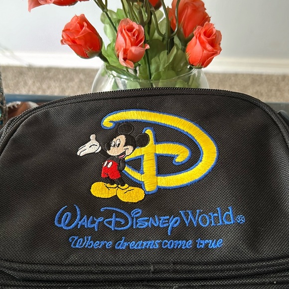 Disney Bags Walt Disney World Crossbody Bag Poshmark